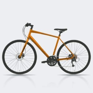 bike 6
