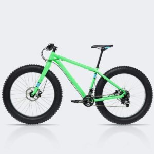 bike 2